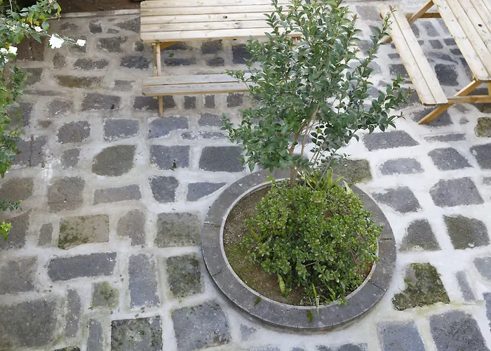 City'S Ponta DelgadaHostel